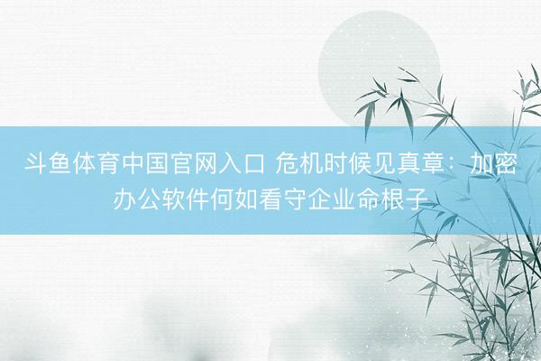 斗鱼体育中国官网入口 危机时候见真章：加密办公软件何如看守企业命根子