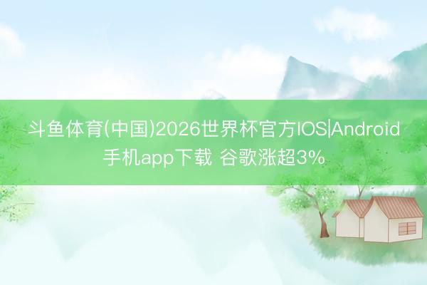 斗鱼体育(中国)2026世界杯官方IOS|Android手机app下载 谷歌涨超3%