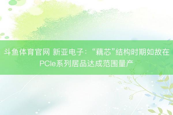 斗鱼体育官网 新亚电子：“藕芯”结构时期如故在PCIe系列居品达成范围量产