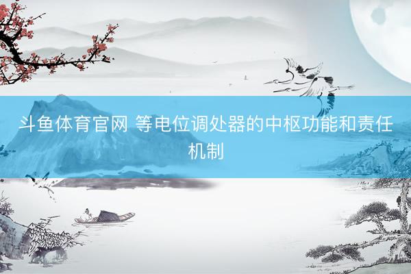 斗鱼体育官网 等电位调处器的中枢功能和责任机制