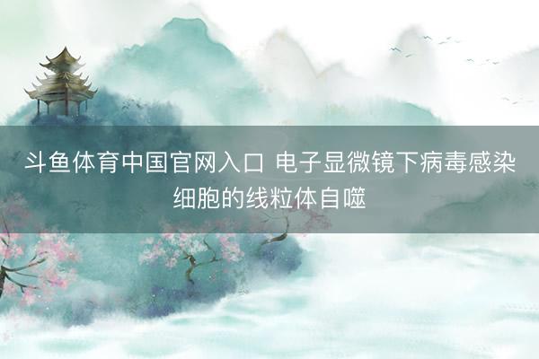 斗鱼体育中国官网入口 电子显微镜下病毒感染细胞的线粒体自噬