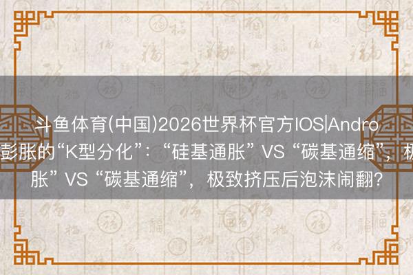 斗鱼体育(中国)2026世界杯官方IOS|Android手机app下载 大家彭胀的“K型分化”：“硅基通胀” VS “碳基通缩”，极致挤压后泡沫闹翻？
