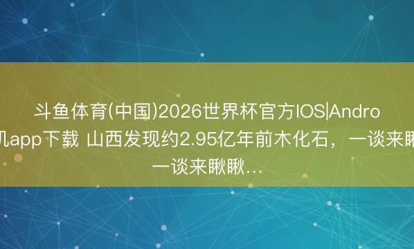 斗鱼体育(中国)2026世界杯官方IOS|Android手机app下载 山西发现约2.95亿年前木化石,一谈来瞅瞅…