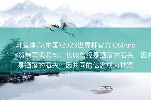 斗鱼体育(中国)2026世界杯官方IOS|Android手机ap