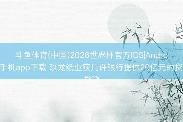 斗鱼体育(中国)2026世界杯官方IOS|Android手机app下载 玖龙纸业获几许银行提供20亿元的贷款
