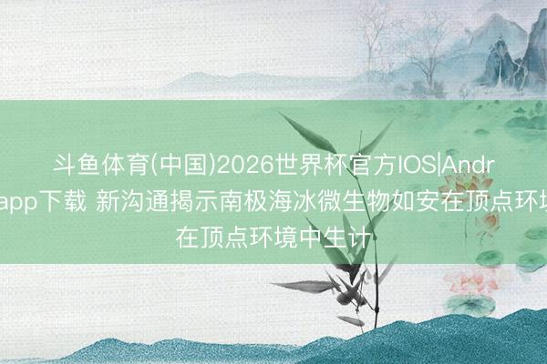 斗鱼体育(中国)2026世界杯官方IOS|Android手机app下载 新沟通揭示南极海冰微生物如安在顶点环境中生计